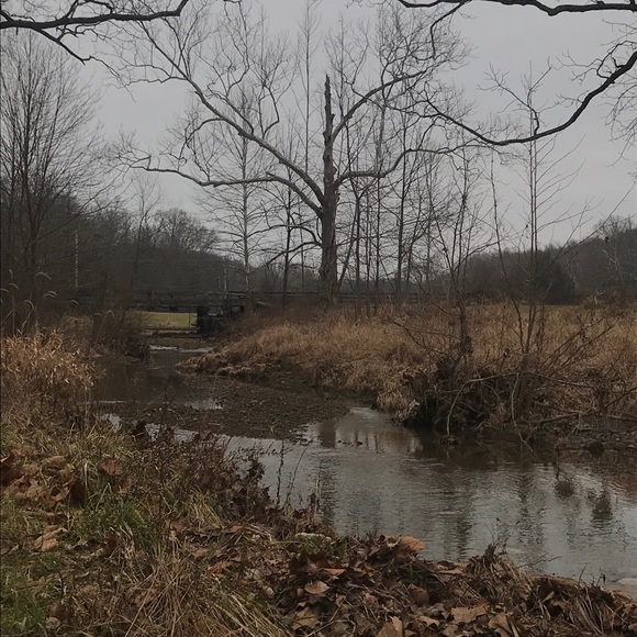 Meet your Posher, Diamond - Picture 1 of 1